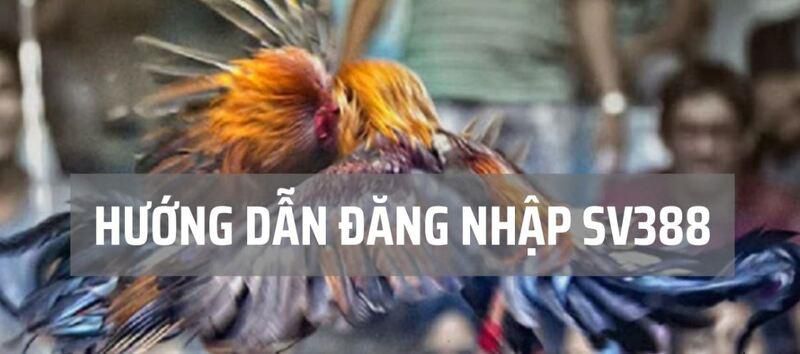 Phúc lợi 9Vnd - 9Vnd