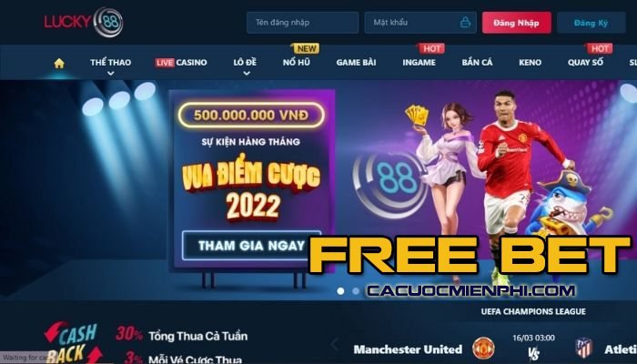 Điểm 23Vip miễn phí: 100 điểm, 50 điểm miễn phí - 23Vip