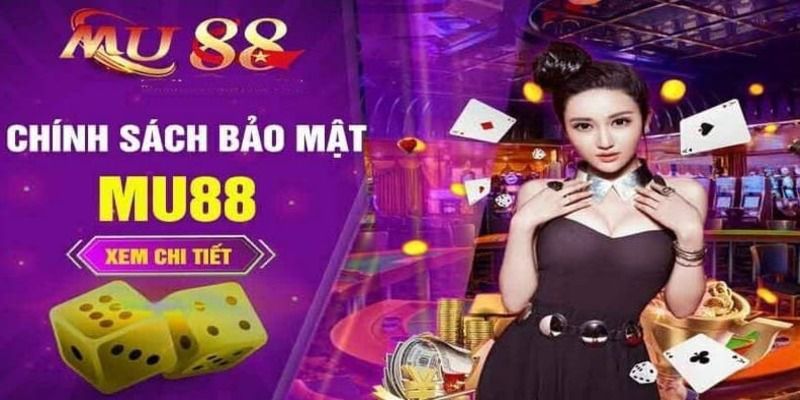 Thông tin quan trọng về chi tiết tài khoản khi gửi tiền vào tài khoản Vwin88 - Vwin88