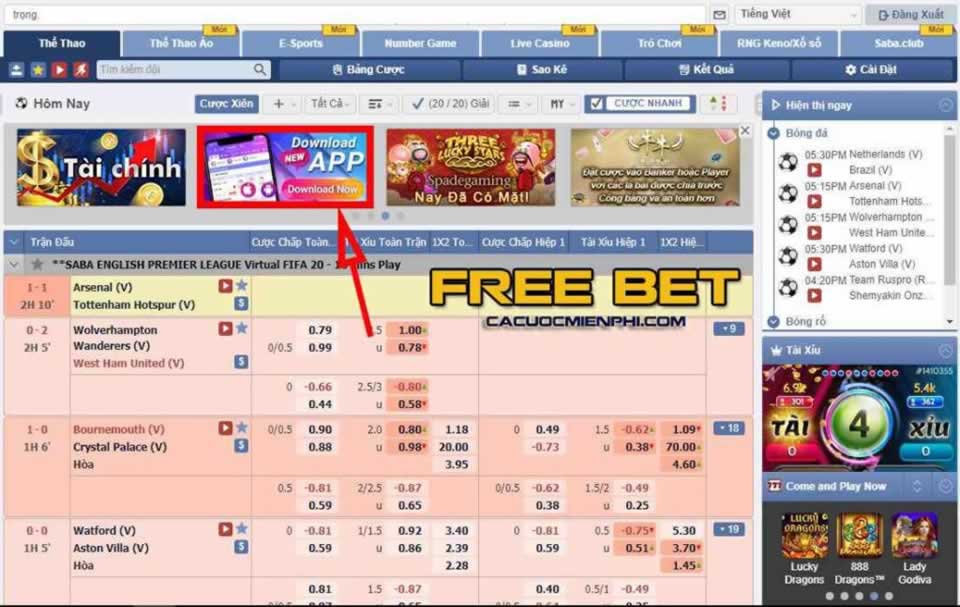 Laucuagame có cung cấp hỗ trợ 24/7 cho người chơi không? - Laucuagame