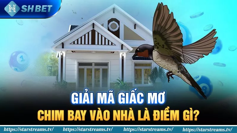 Trang web chơi game trực tuyến được xếp hạng V99 và các trò chơi bài uy tín - V99