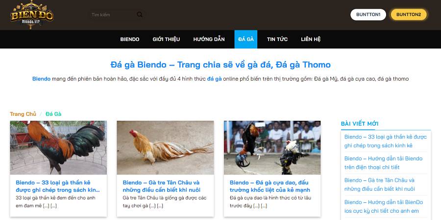 Bên trong cung điện V7bet có một cửa hàng trò chơi rất quyến rũ - V7bet