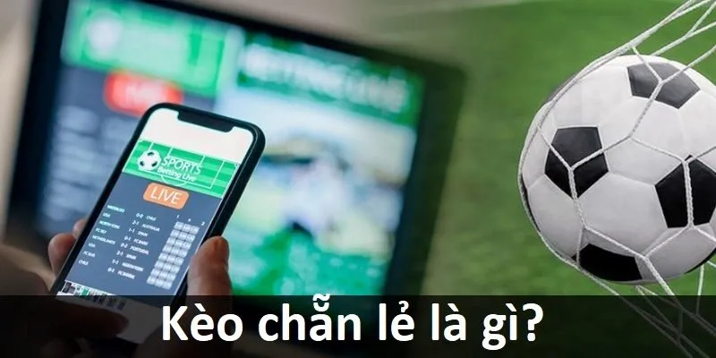 Hướng dẫn chi tiết về cách xác minh tài khoản trước khi rút tiền từ 1Xbet - 1Xbet