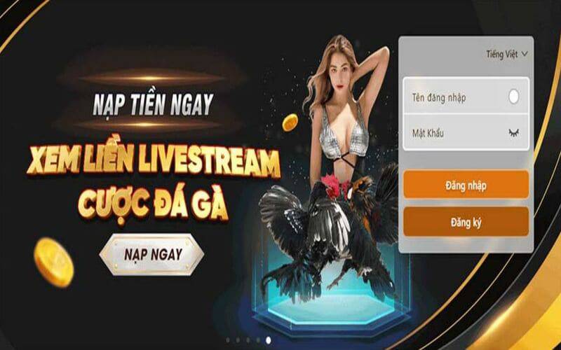 Mb86 là một trong những cổng game phổ biến nhất năm 2026 - Mb86