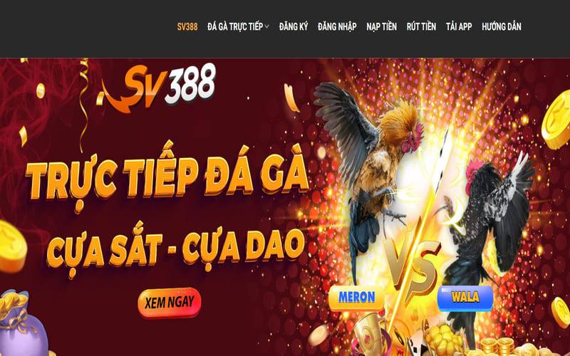 Hiểu rõ các quy tắc của 789P - 789P