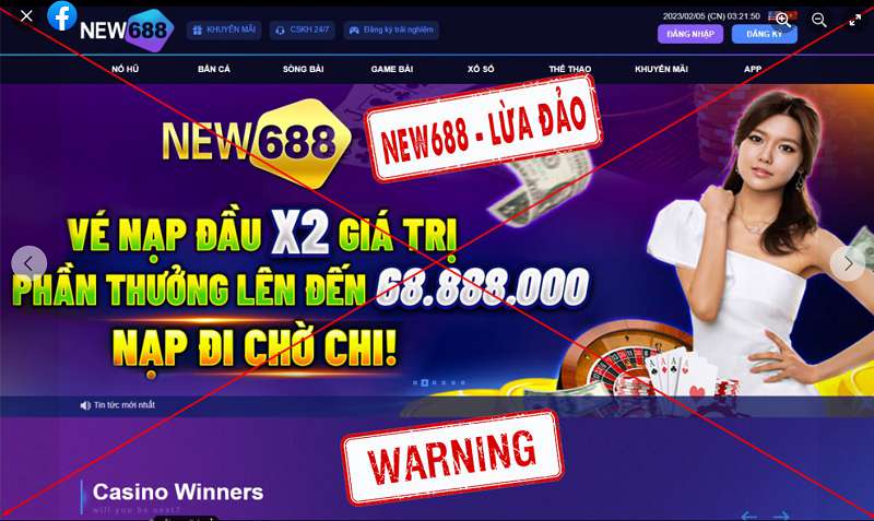 Hiện có những hình thức cá cược nào dành cho các trận đấu đá gà cấp độ Kc88? - Kc88