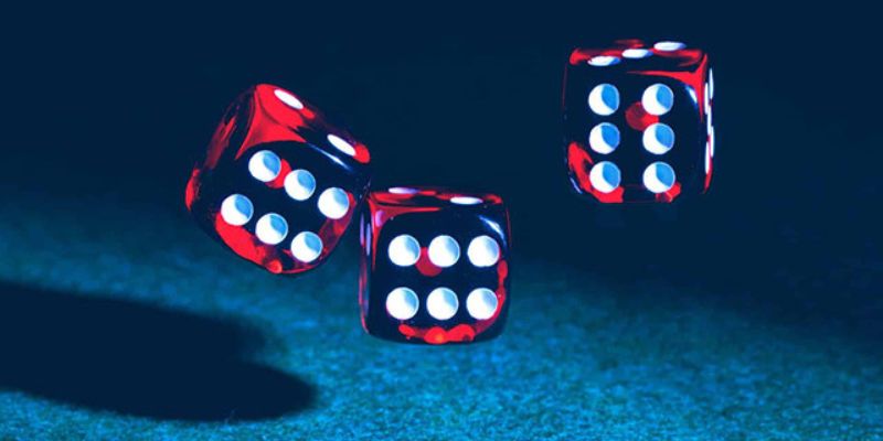 Lý do nên chọn cá cược bóng chuyền cấp độ 11Bet - 11Bet
