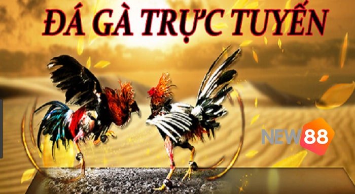 Fa88 là nơi dành cho những người yêu thích sự vui vẻ và hào hứng - Fa88